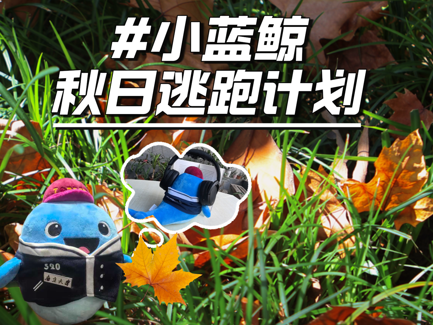 Cover for the NJU Xiao Lanjing autumn feature